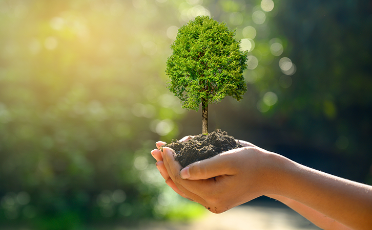 Planting One Tree for Every Tote of TyrFil Flatproofing